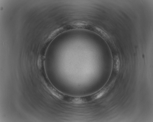 X0000081310562200701111311