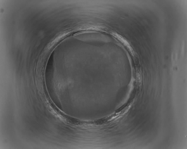 X0000081310577200701111310