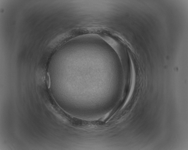 X0000081310593200701111310