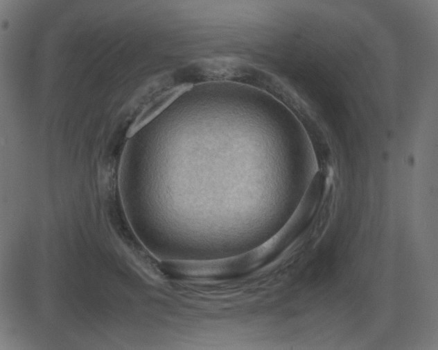 X0000081310601200701111310