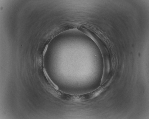 X0000081310613200701111310