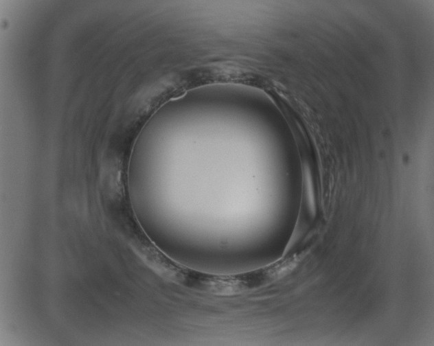 X0000081310615200701111310