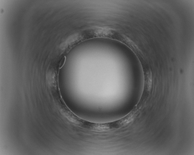X0000081310619200701111310