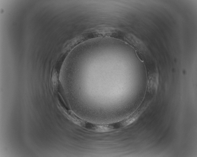 X0000081310623200701111310