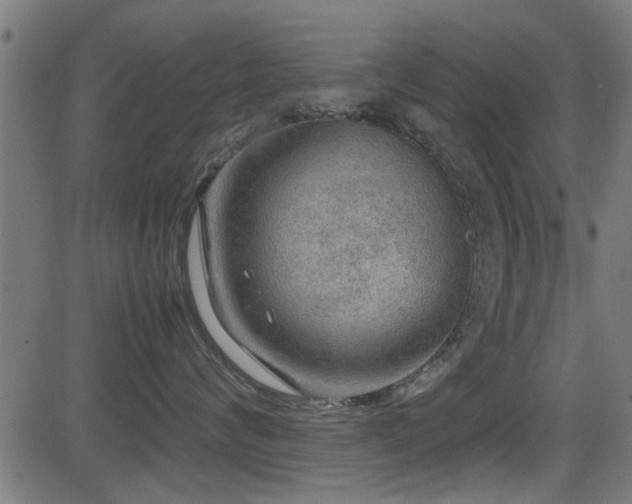 X0000081310624200701111310