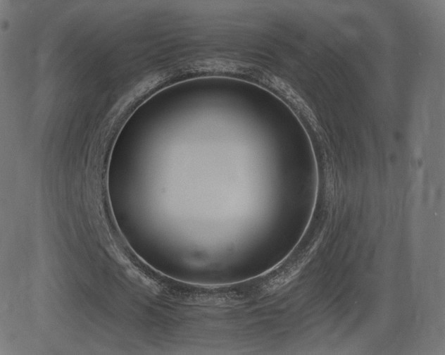 X0000081310625200701111309