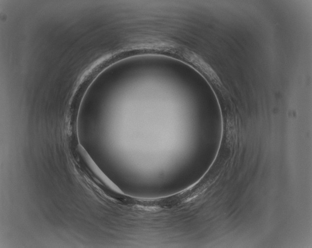 X0000081310628200701111309