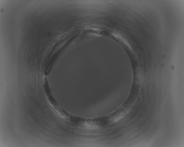 X0000081310641200701111309