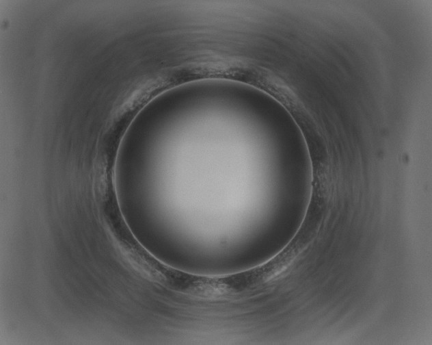 X0000081310642200701111309