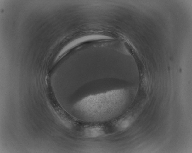 X0000081310643200701111309
