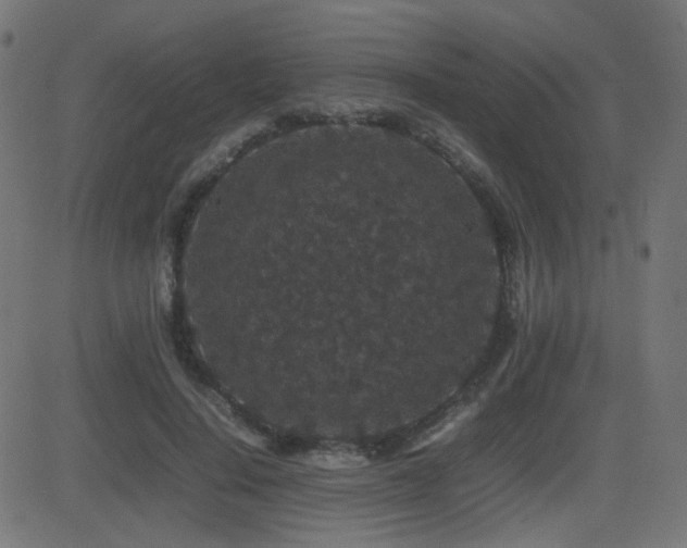 X0000081310644200701111309