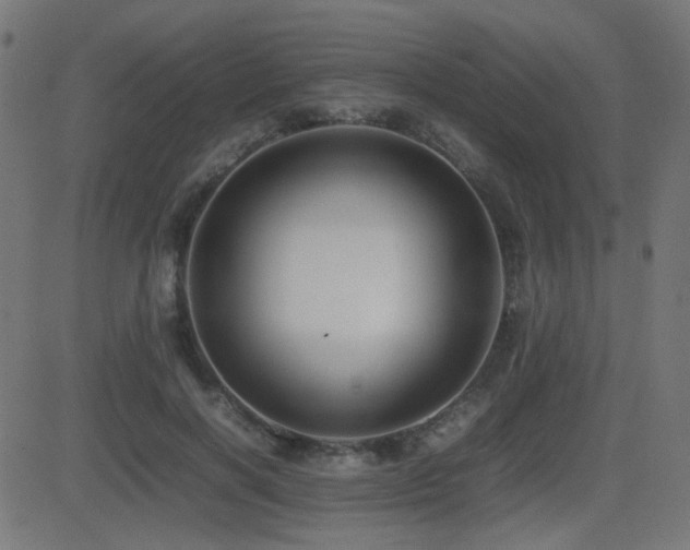 X0000081310646200701111309