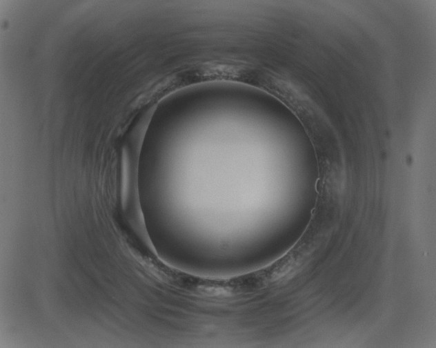 X0000081310649200701111309