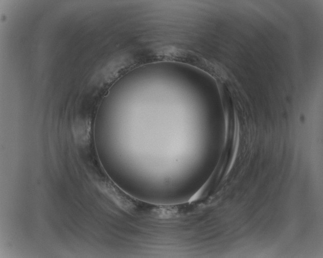 X0000081310660200701111309