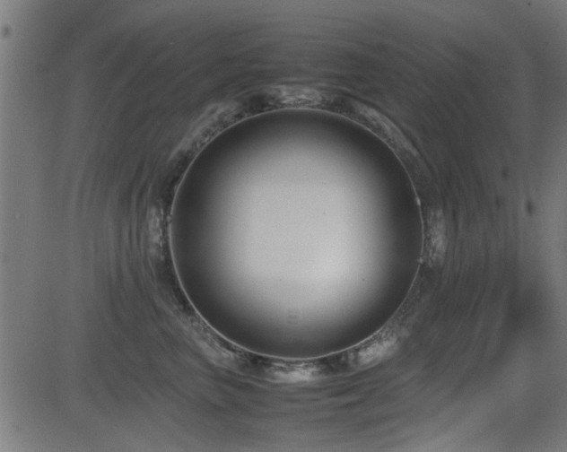 X0000081310667200701111309