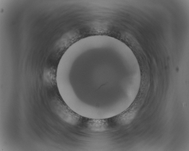 X0000081310672200701111309