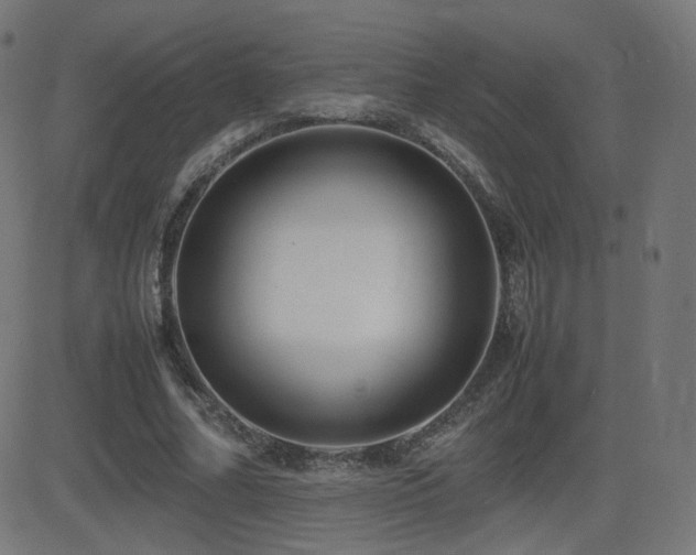 X0000081310682200701111309