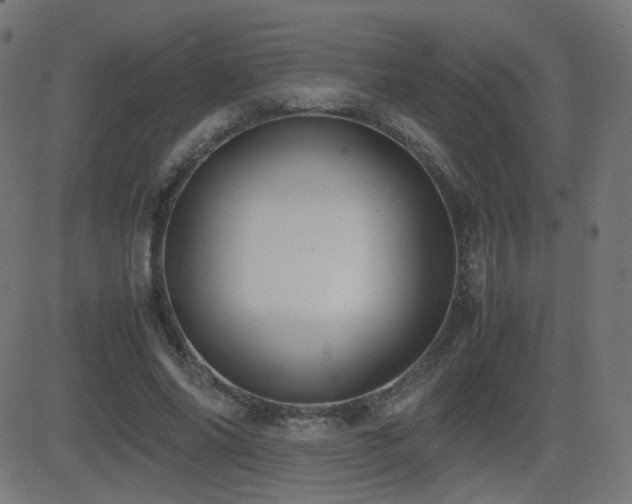 X0000081310686200701111308