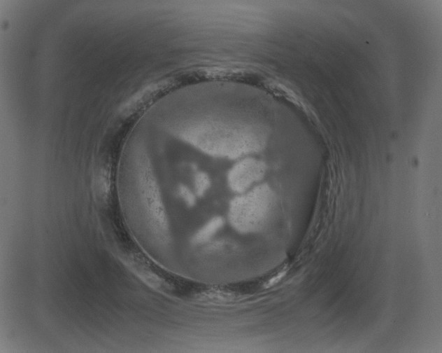 X0000081310691200701111308