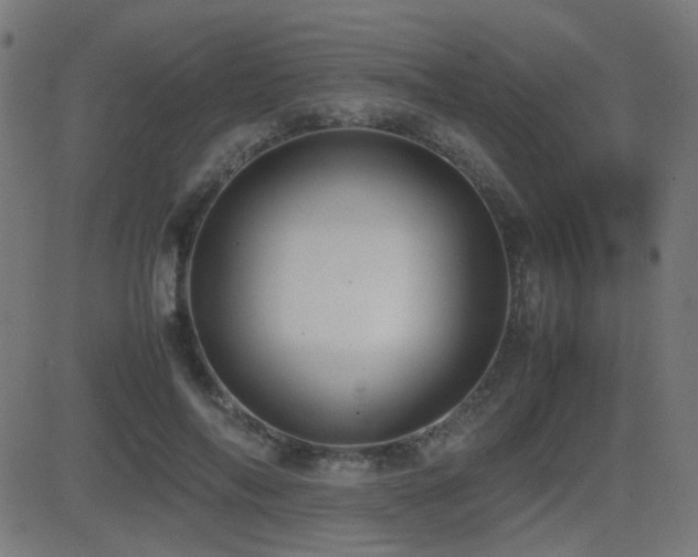 X0000081310694200701111308