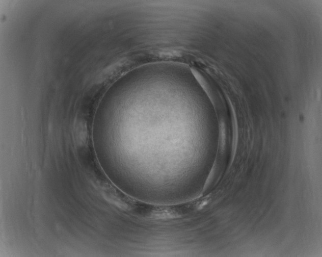 X0000081310704200701111308