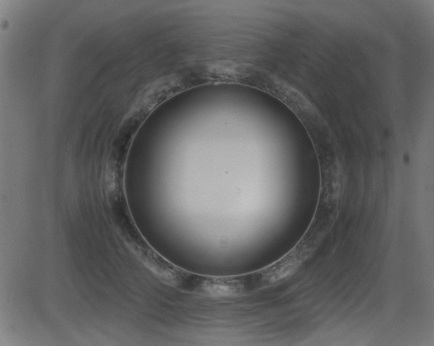 X0000081310706200701111308
