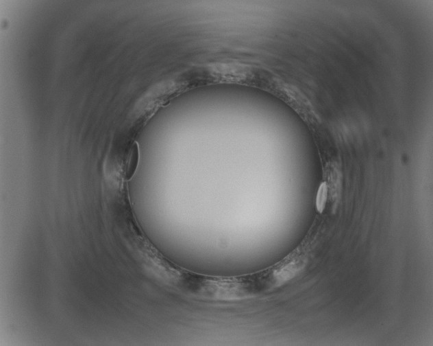 X0000081310713200701111308