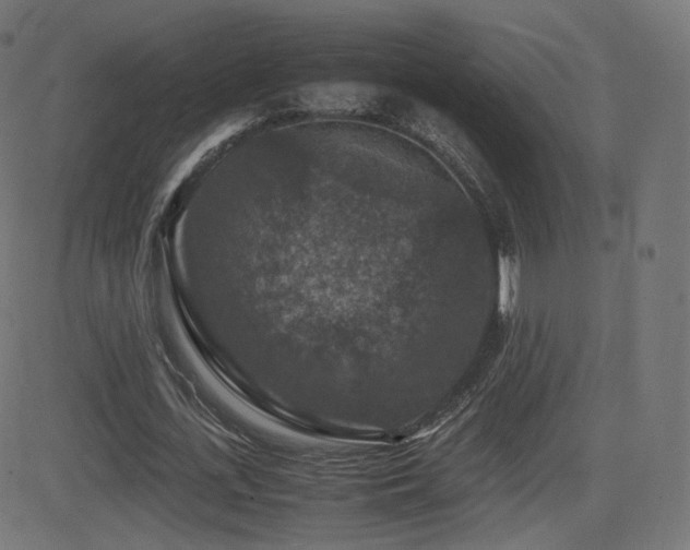 X0000081310723200701111307