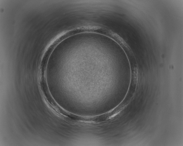 X0000081310726200701111307