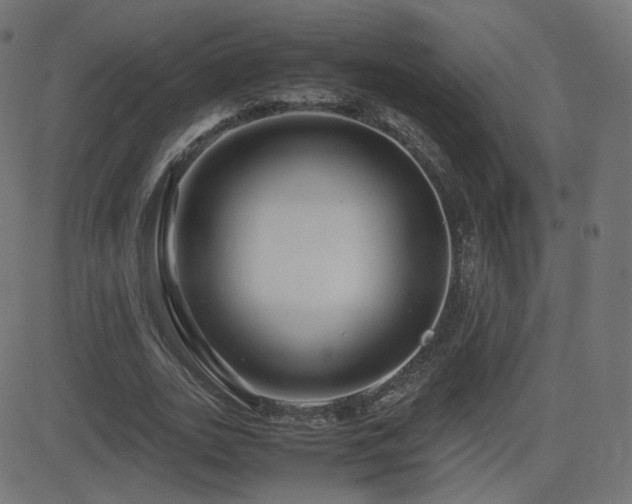 X0000081310727200701111307