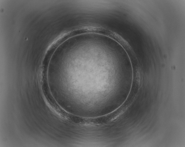 X0000081310730200701111307