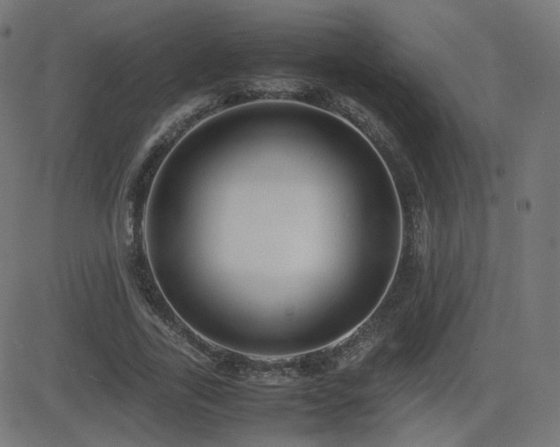 X0000081310731200701111307