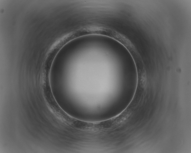 X0000081310732200701111307