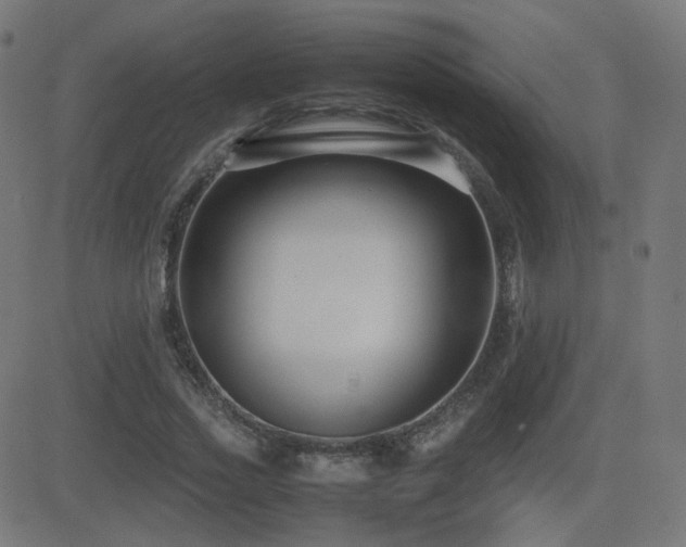 X0000081310733200701111307