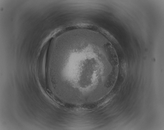 X0000081310734200701111307
