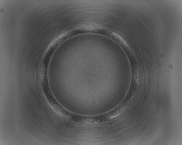 X0000081310736200701111307