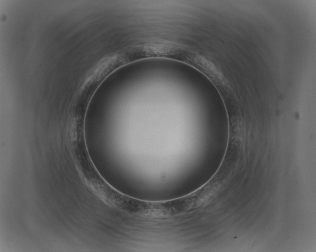 X0000081310738200701111307