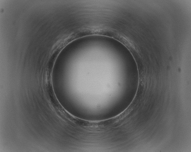 X0000081310740200701111307