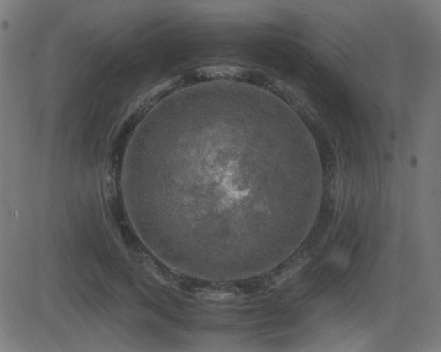 X0000081310743200701111308