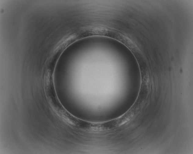 X0000081310744200701111308
