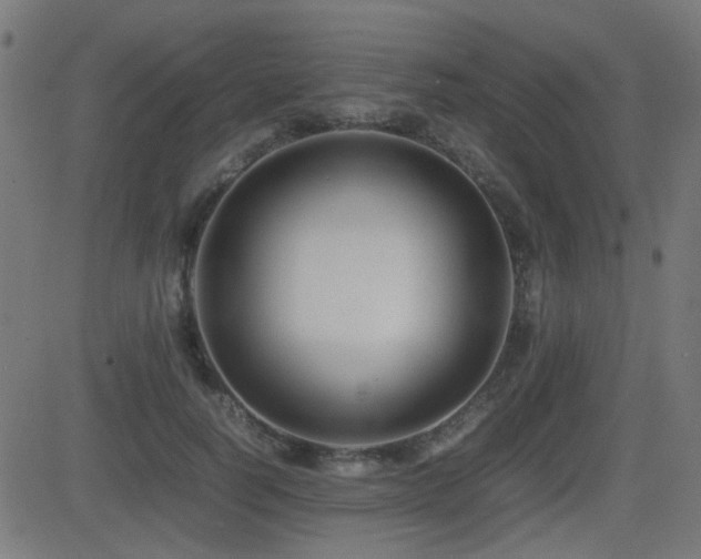 X0000081310746200701111308