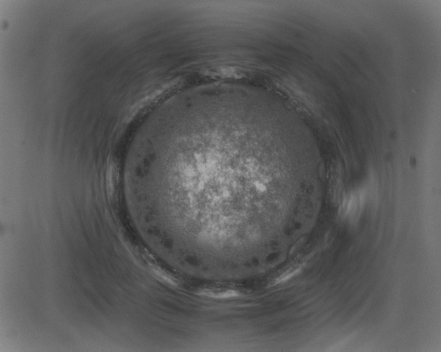 X0000081310747200701111308