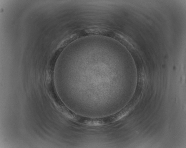 X0000081310751200701111308