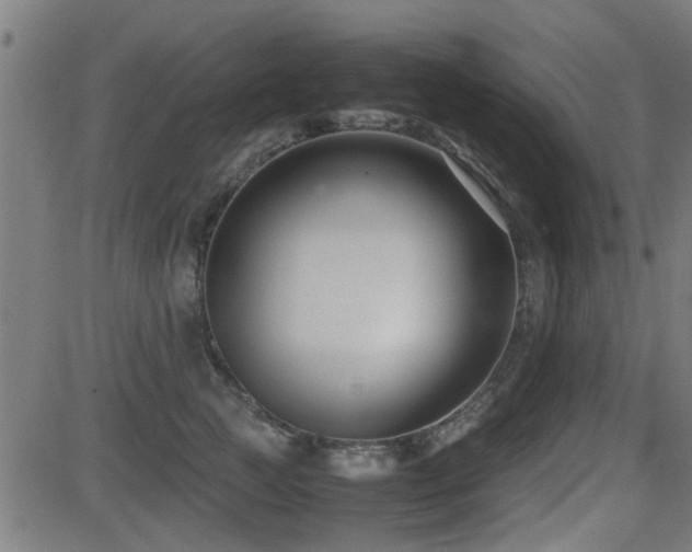 X0000081310761200701111308