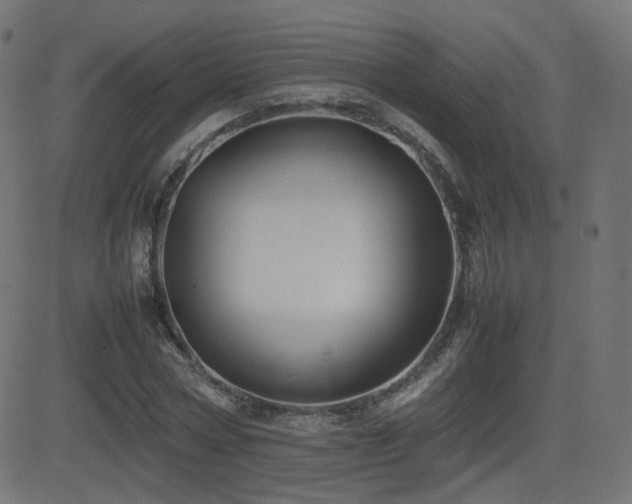 X0000081310778200701111307