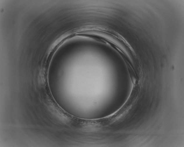 X0000081310786200701111307
