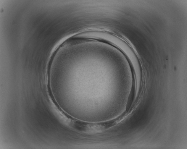 X0000081310795200701111307