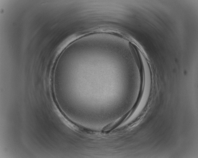 X0000081310803200701111307