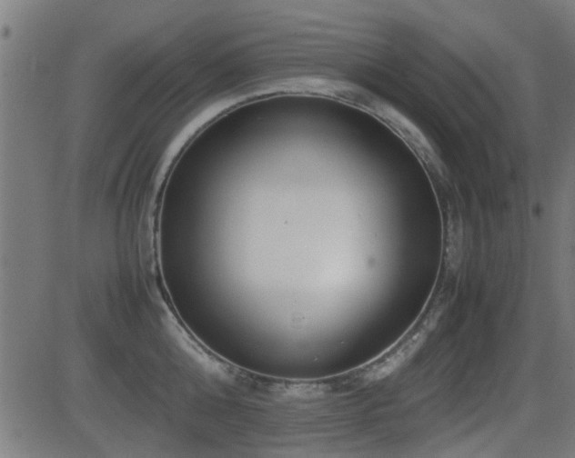 X0000081310808200701111306