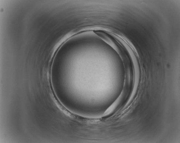 X0000081310813200701111306